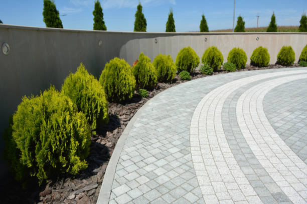 Best Brick Driveway Pavers  in St Paul, MN